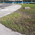 修補枯死的草皮 第一次在大佳公園主辦彩色路跑(2013.8.18)的單位，於2013.9.5 雇工修補了枯死的一小片草皮，枯草間清楚可見大片的粉末結成塊狀。