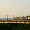 20210101屏東舊鐵橋花海