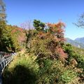 20210124南橫梅山口天池