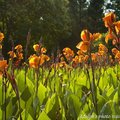 080802中山公園