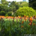 080802中山公園