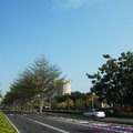 070224東豐路