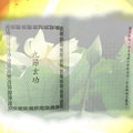 道鐘警明(彩色荷花版)