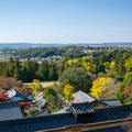 遠眺奈良市景