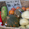 奈良町的蔬菜攤