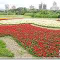 中正_古亭河濱公園繽紛美麗