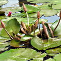 華山藝文園區