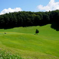 The hills are alive, Mehlweg mountains