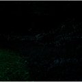螢火蟲。麻布山林 