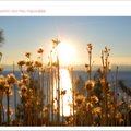 加州太浩湖的日落