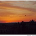 Toledo 的黃昏,，燕群讓山城聲光色都熱火滾滾，那種唐吉軻德的溫度