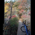 http://blog.udn.com/albertineproust/4567568 美國新英格蘭Concord鎮可租腳踏車.這裡是華登湖 Walden Pond.不可以騎腳踏車, 我們沒鎖,只好推著繞湖一圈, 有點辛苦, 而且被抓還是會罰錢.