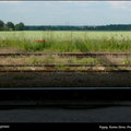 【旅行ing】－（那串起一家人的跫音）
捷克 Kuntna HORA 火車站 http://blog.udn.com/albertineproust/1955130