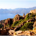 Corsica