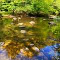 Eno River state park, NC