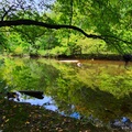 Eno River state park, NC