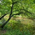 Eno River state park, NC