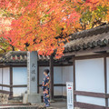 2018.11 京都