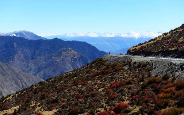 Chinese Highway 令人驚嘆~Latte