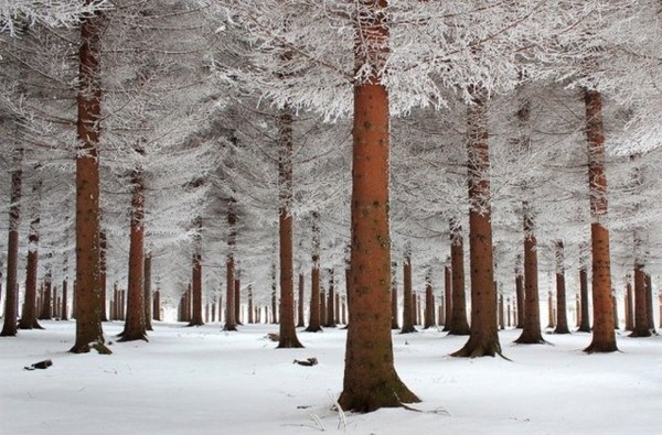 超夢幻吉林的雪景《圖片來源：吉林市戶外導向》~Latte