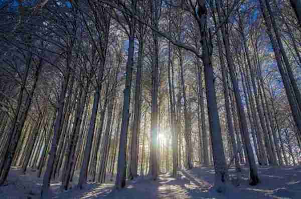 超夢幻吉林的雪景《圖片來源：吉林市戶外導向》~Latte