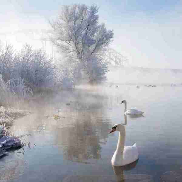 超夢幻吉林的雪景《圖片來源：吉林市戶外導向》~Latte