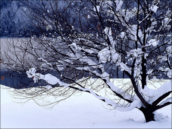 超夢幻吉林的雪景《圖片來源：吉林市戶外導向》~Latte