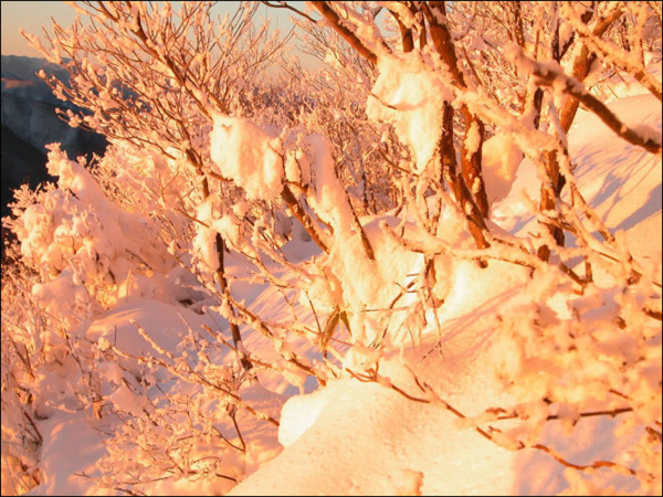 超夢幻吉林的雪景《圖片來源：吉林市戶外導向》~Latte