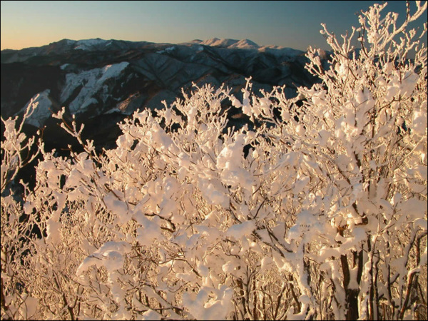 超夢幻吉林的雪景《圖片來源：吉林市戶外導向》~Latte