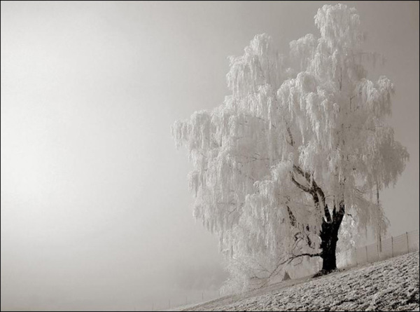 超夢幻吉林的雪景《圖片來源：吉林市戶外導向》~Latte