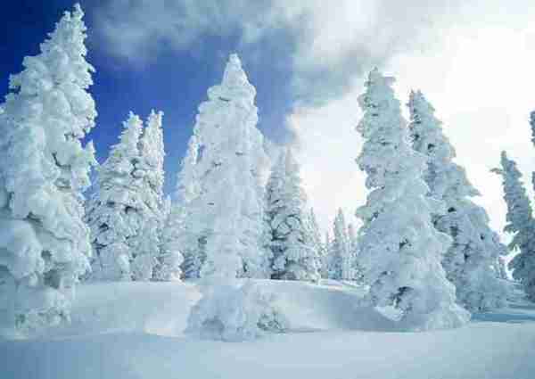 超夢幻吉林的雪景《圖片來源：吉林市戶外導向》~Latte