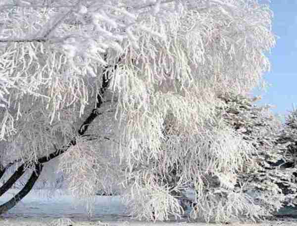 超夢幻吉林的雪景《圖片來源：吉林市戶外導向》~Latte