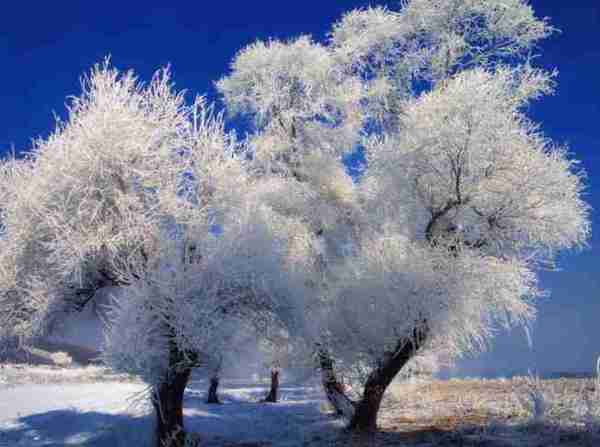 超夢幻吉林的雪景《圖片來源：吉林市戶外導向》~Latte