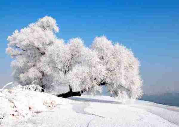 超夢幻吉林的雪景《圖片來源：吉林市戶外導向》~Latte