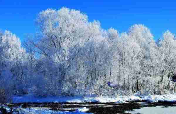 超夢幻吉林的雪景《圖片來源：吉林市戶外導向》~Latte