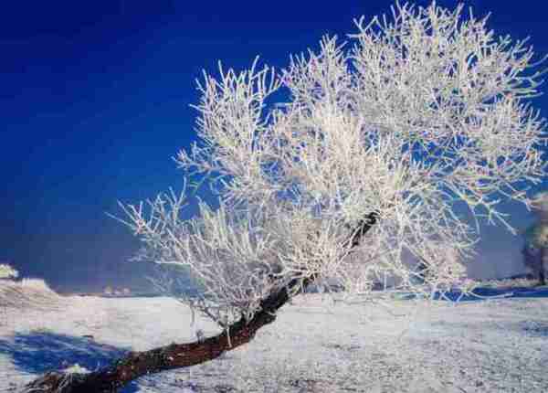 超夢幻吉林的雪景《圖片來源：吉林市戶外導向》~Latte