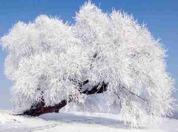 超夢幻吉林的雪景《圖片來源：吉林市戶外導向》~Latte