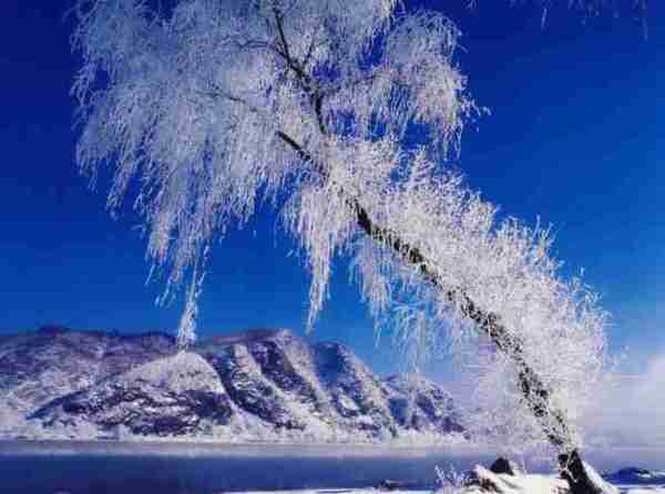 超夢幻吉林的雪景《圖片來源：吉林市戶外導向》~Latte