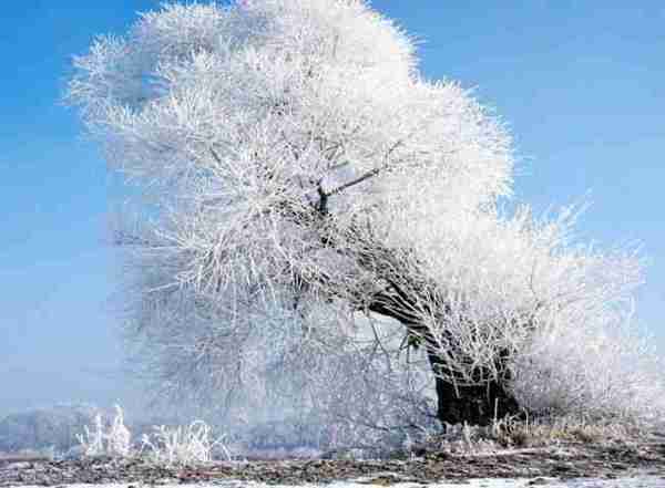 超夢幻吉林的雪景《圖片來源：吉林市戶外導向》~Latte