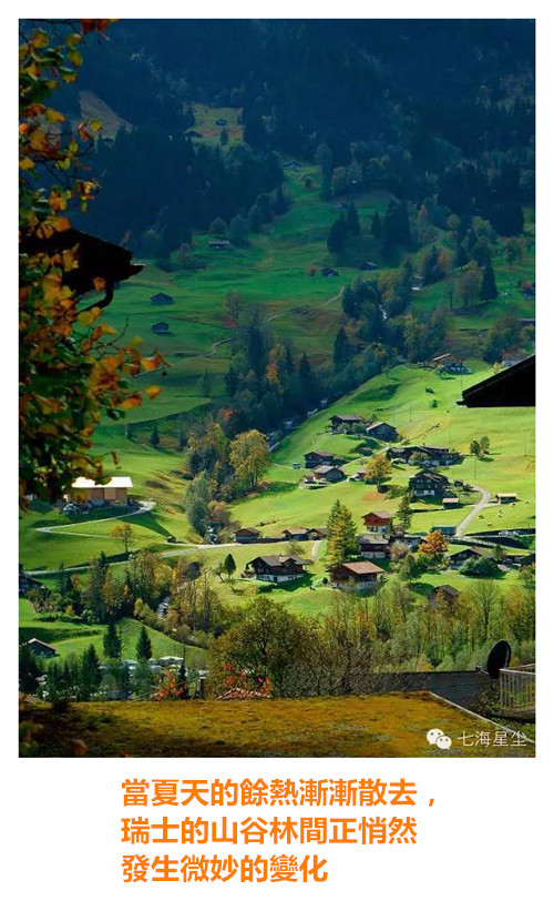 瑞士的秋天~Latte
