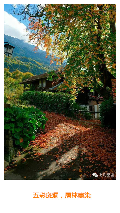 瑞士的秋天~Latte