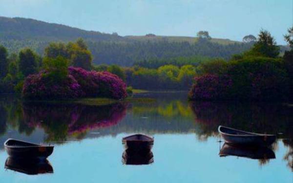 寧静的湖泊---真是太美啦！(下) ~Latte