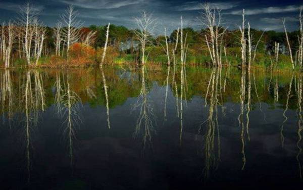 寧静的湖泊---真是太美啦！(下) ~Latte