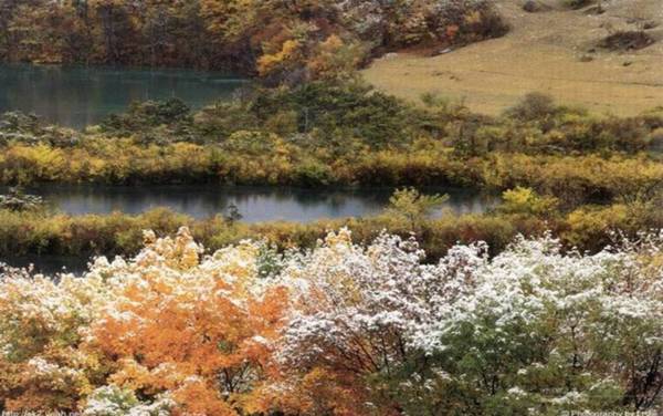 寧静的湖泊---真是太美啦！(下) ~Latte