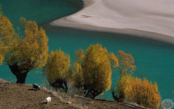 寧静的湖泊---真是太美啦！(下) ~Latte