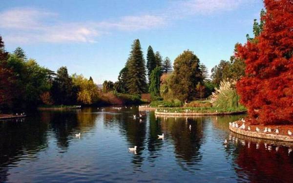 寧静的湖泊---真是太美啦！(下) ~Latte