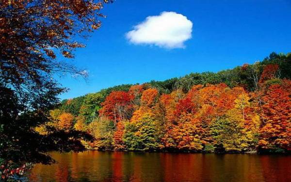 寧静的湖泊---真是太美啦！(下) ~Latte