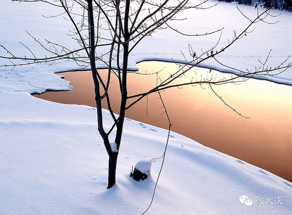 這個冬天，歡迎你到黑龍江來看雪~Latte