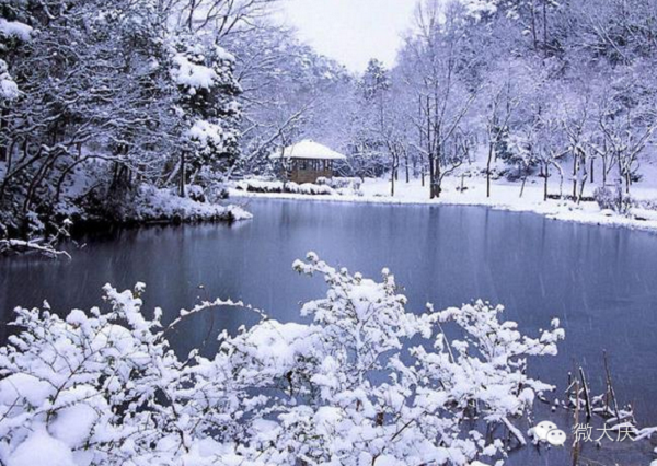 這個冬天，歡迎你到黑龍江來看雪~Latte