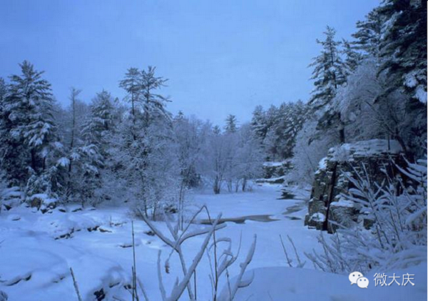 這個冬天，歡迎你到黑龍江來看雪~Latte